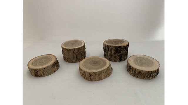 Wood Cookies 18 Piece Set Wood Cookies 18 Piece Set